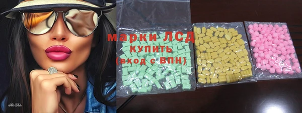 прущие грибы Наволоки
