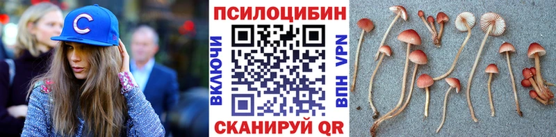Псилоцибиновые грибы Cubensis  Курганинск 